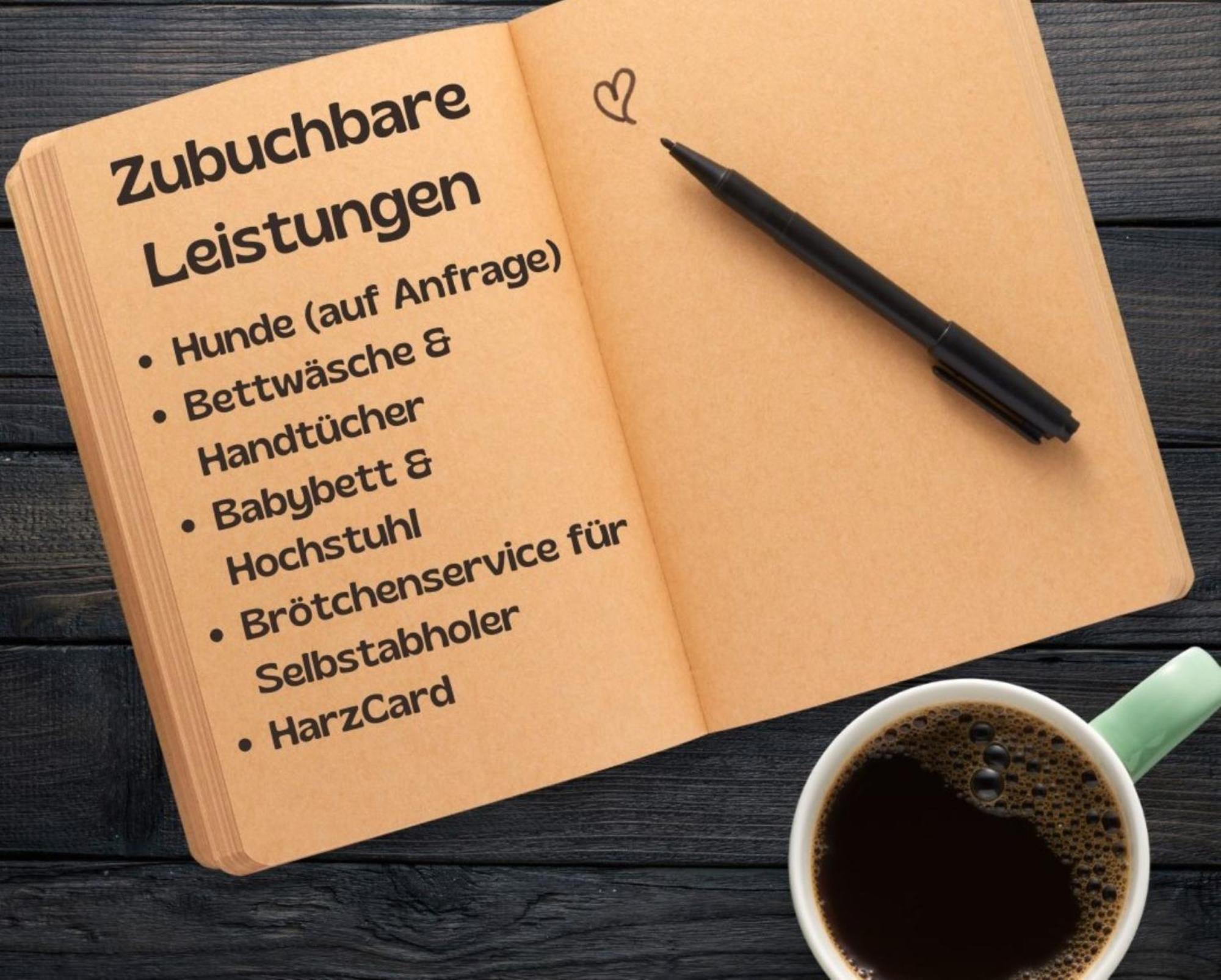 Апартаменты Schwalbennest St. Andreasberg Санкт-Андреасберг Экстерьер фото